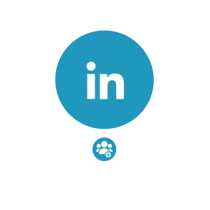 LinkedIn Volgers kopen