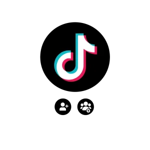 Massa TikTok Volgers kopen