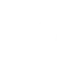 Veilig
