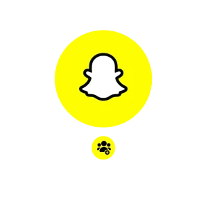 Snapchat volgers