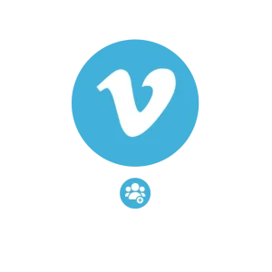 Vimeo Volgers