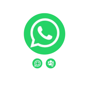 WhatsApp Channel volgers
